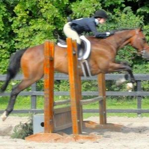 Meet your Posher, Gina